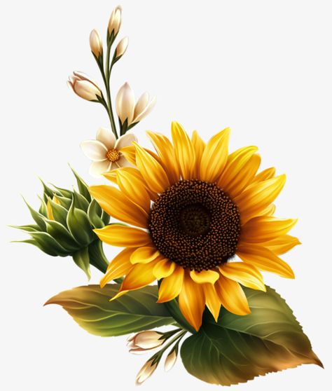 one,to the sun,flowers,sunflower,yellow,green leaves,buds,sun,green,leaves,picture clipart,sunny clipart 자작나무 그림, Sunflower Drawing, Sunflower Pictures, Sunflower Tattoos, Sunflower Png, Sunflower Wallpaper, Hur Man Målar, 수채화 그림, Sunflower Decor