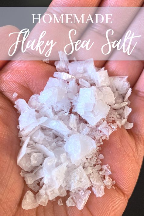 How To Make Sea Salt, Flaky Salt Recipes, Finishing Salt Recipes, Lacto Fermentation, Diy Extracts, Spices Blends, Flake Recipes, Sea Salt Recipes, Salt Making