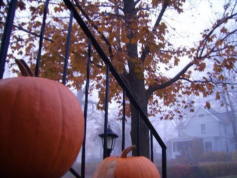 October Country, Fall Mood Board, Mazzy Star, The Boogeyman, Autumn Morning, Season Of The Witch, Best Seasons, Autumn Cozy, Vintage Market