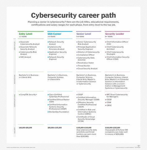 Comptia Security+ Cheat Sheet, Comptia Security+, Cybersecurity Roadmap, Cybersecurity Consultant, Cybersecurity Aesthetic, Cybersecurity Infographic, Networking Infographic, Security Analyst, Career Progression