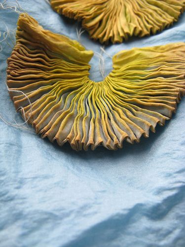 Mushroom Crafts, Trendy Embroidery, Textile Sculpture, Textiles Techniques, Mushroom Art, Textile Jewelry, Embroidery Fabric, Soft Sculpture, How To Dye Fabric