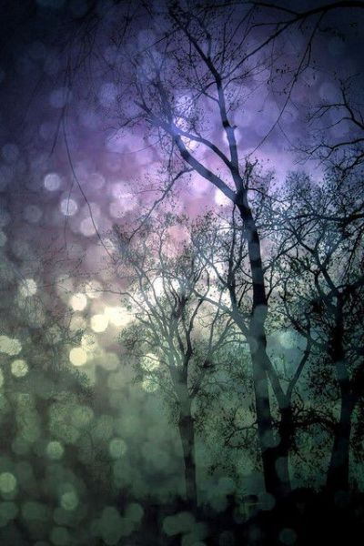 Bokeh Photography, Robert Doisneau, Winter Fairy, Winter Color, Samhain, Nature Beauty, Night Sky, Beautiful World, In The Dark