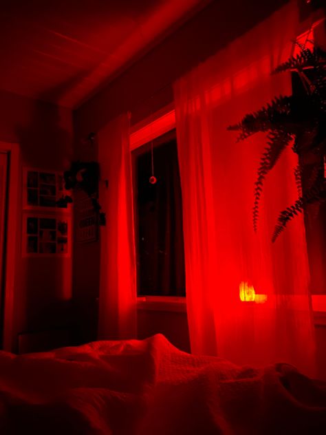 #saltlamp #ferns #plants #arthoe #plantmom #teenroom #roomdecor #aesthetic #aestheticroom #red #night #redlight #redlighttherapy #grunge #boho #lifestyle #artsy Red Room Lights Aesthetic, Red Lights Bed, Red Light Bed, Red Themed Room Aesthetic, Red Light Bedroom Aesthetic, Red Light Aesthetic Room, Red Led Room Aesthetic, Red Led Lights Bedroom, Bedroom Red Aesthetic