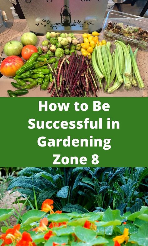 Planting Calendar For Zone 8, Zone 8 October Planting, Fall Garden Layout Zone 8, Planting Zone 8b Vegetable Garden, Zone 8 Container Gardening, What To Plant August Zone 8, 8b Gardening Zone, Zone 8 Garden Plans, Fall Vegetable Gardening Zone 8