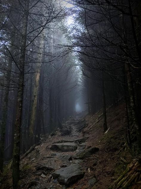 Appalachian Trail, North Carolina by Kristen00715 on reddit North Carolina Gothic, Dark Appalachian Aesthetic, Appalachian Core, Old Gods Of Appalachia Aesthetic, Appalachian Gothic Aesthetic, Appalachia Wedding, Appalachian Aesthetic, Appalachia Aesthetic, Appalachian Folklore