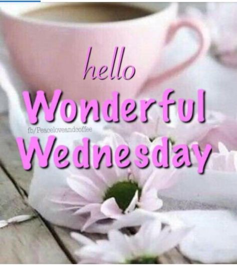 Hump Day Quotes, Wednesday Greetings, Wednesday Wishes, Pink Wednesday, Fb Quote, Good Morning Wednesday, Weekday Quotes, Wonderful Wednesday, Pink Day