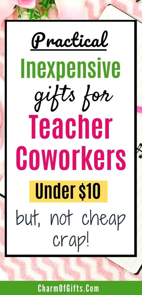 Teacher Gifts From Teachers, Fun Coworker Gifts, Easy Holiday Gifts For Coworkers, Teacher To Teacher Gifts Christmas, Staff Appreciation Gifts Christmas, Simple Gift Ideas For Coworkers, Back To School Gifts For Coworkers, Small Teacher Appreciation Gifts Ideas, Teacher Coworker Christmas Gift Ideas