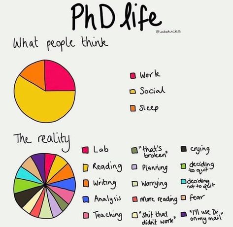 Phd Quote, Graduate School Humor, Dissertation Motivation, Phd Comics, Phd Humor, Phd Psychology, Phd Life, Thesis Writing, Research Writing