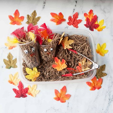 Autumn Sensory Bin Preschool, November Activities For Prek, November Sensory Table Ideas, Daycare Thanksgiving Activities, Toddler Fall Sensory Bin, November Themed Crafts, November Sensory Table, Easy Fall Sensory Bin, November Sensory Bin Toddlers