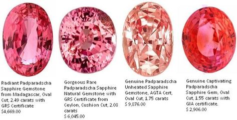 Padparadscha Sapphire Gemstones B The Gemstone Sapphire Padparadscha Sapphire, Ruby Pendant, Ruby Earrings, Rocks And Gems, Sapphire Jewelry, Gems And Minerals, Sapphire Gemstone, Jewelry Store, Stones And Crystals