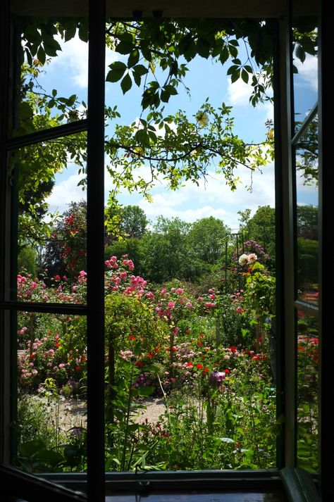 Gemma Aesthetic, Garden Through Window, Outside The Window, Window Overlooking Garden, View From Window, Window Flowers, Window Views, View Through Window, Aesthetic Window