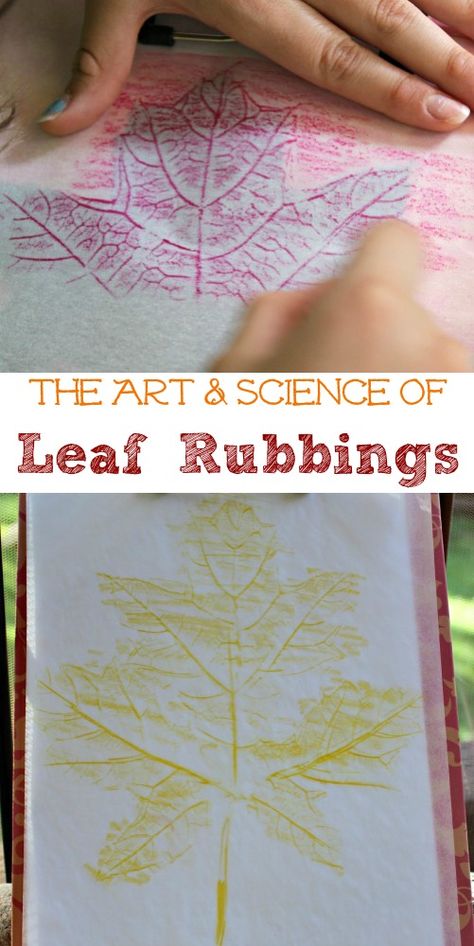 Try a few new ideas for making leaf prints and show kids some of the science as you create!  Great nature & STEM activity! November Activities For 4th Grade, Preschool Group Projects, Fall Changes Preschool, Leaf Unit Preschool, Homeschool Art Projects Elementary, Easy Art Lessons Elementary, Art Lessons For Elementary Students, Steam Art Projects, Art Activities For Kindergarten