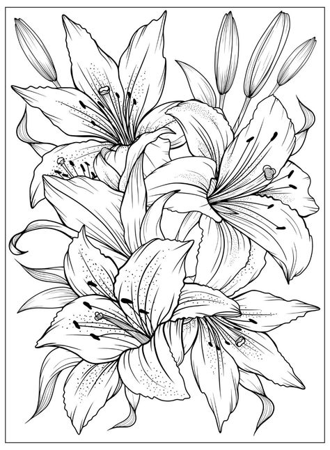 Magnolia Line Art, Flower Colouring, Drawing Dragon, Flower Outline, Painted Vase, Flower Art Drawing, Drawing Faces, Flower Sketches, Floral Drawing