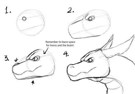 How to draw a dragon by Tallinax on DeviantArt Cool Dragon Drawings Easy, How To Draw A Dragon Easy, How To Draw A Dragon, Simple Dragon Drawing, Dragon Head Drawing, Draw A Dragon, Easy Dragon Drawings, Dragon Anatomy, Dragon Face