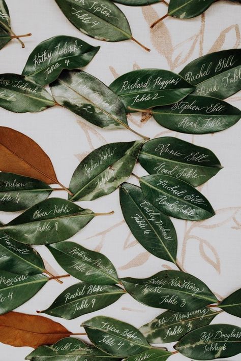 Winter Wedding Magnolia Leaves, Emerald Green And Magnolia Wedding, Laurel Wedding Decor, Magnolia Wedding Table Decor, Magnolia Tree Wedding, Leaf Wedding Decorations, Magnolia Leaf Wedding, Magnolia Leaves Wedding, Fall Formal Wedding