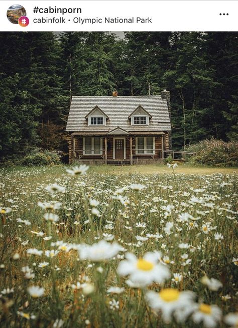 Cabins and fields of flowers Cabin Curtains, Loft Cabin, Cabin Decorating, Cabin Rugs, Ecological House, Cozy Cabins, Cabin Floor, Cabin Tent, Cabin House