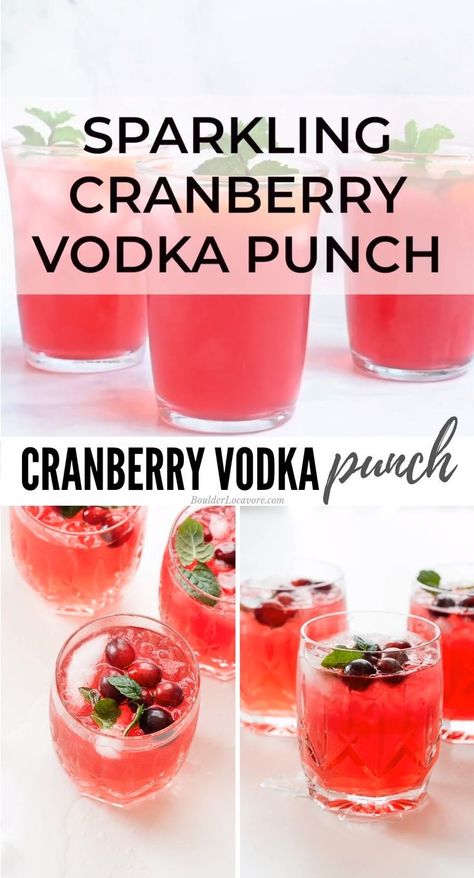 Sparkling Cranberry Vodka Punch is a light, refreshing 4-ingredients cocktail punch recipe perfect for Thanksgiving, Christmas and holiday celebrating! Thanksgiving Holiday Punch, Vodka Punch Recipes Parties, Cranberry Vodka Punch, Vodka Punch, Cocktail Vodka, Summer Drinks Alcohol, Cranberry Vodka, Thanksgiving Drinks, Christmas Punch