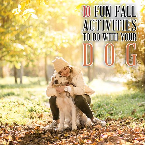 Pet Gallery - The Cottage Market Dog Balm, Dog Activity, Dog Autumn, Fall Aesthetics, Dogs Diy Projects, Dog Calendar, Frozen Dog, Diy Dog Bed, Cottage Market