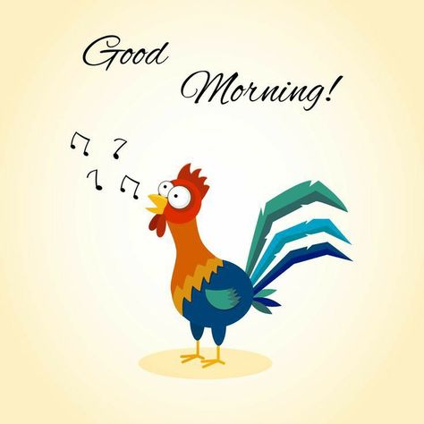 Rooster Images, Very Good Morning Images, Good Morning Monday Images, Good Morning Cartoon, Latest Good Morning Images, Latest Good Morning, Good Morning Funny Pictures, Happy Week End, Picture Wallpaper