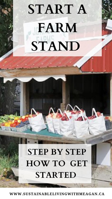 How To Start A Farm Business, Starting A Farm Stand, Starting A Small Farm, How To Build A Roadside Stand, Pay What You Can Farm Stand, Small Farm Store Ideas, Porch Pick Up Ideas Small Business, Easy Diy Farm Stand, Farm Produce Stand