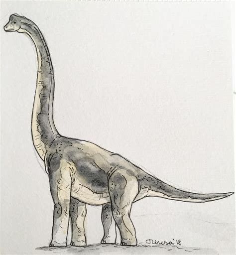 Brachiosaurus Drawing, Dino Drawing, Dinosaur Sketch, Arte Grunge, Dinosaur Drawing, Dragon Illustration, Drawing Ink, Dinosaur Art, A Dinosaur