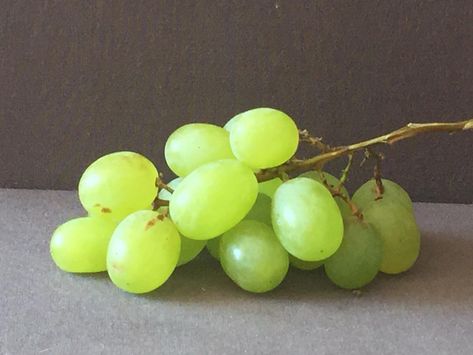 Grapes Still Life Photography, Oil Pastel Object Drawing, Grape Reference, Food Reference Photos, Grapes Still Life, Food Photography Fruit, Apple Picture, Rotten Fruit, Still Life Pictures