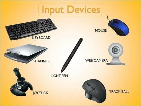 Keyboard,Mouse, Scanner,Web Camera,Light Pen,Joy Stick Track ball Input Devices Of Computer For Kids, Input Devices Of Computer Drawing, Computer Exam, Computer Lab Decor, Computer Lab Classroom, Joy Stick, Lab Decor, Daily Routine Activities, Basic Computer