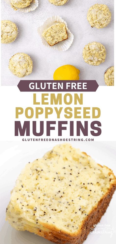 Gluten Free Lemon Poppyseed Muffins | Great gluten free recipes for every occasion. Gluten Free Baked Goods Recipes, Lemon Poppy Seed Muffins Healthy, Poppyseed Muffins, Lemon Poppy Seed Muffins, Seed Muffins, Poppy Seed Muffins, Lemon Poppyseed Muffins, Lemon Poppy Seed, Lemon Muffins