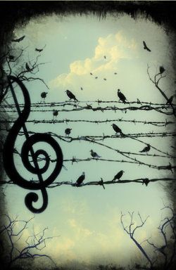 / Stary Papier, Art Musical, Piano Art, Bird Silhouette, Musical Art, Musical Notes, Barbed Wire, Rock Roll, Pics Art