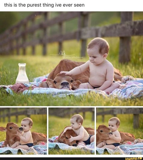 Photography Ideas Friends, Baby Photography Ideas, Funny Photos Ideas, Baby Pictures Newborn, Ideas For Friends, Farm Baby, Country Kids, Baby Cows, Baby Cowboy