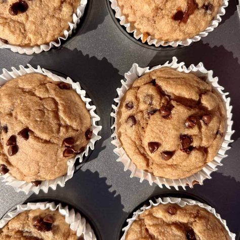 Kodiak Cakes Chocolate Chip Protein Muffins (No Banana) - Ayat Sleymann, MS, RDN Pancake Muffins Kodiak Cakes, Kodiak Cake Muffins Chocolate Chip, Ww Protein Muffins, Kodiak Cakes Recipe Muffins, Kodiak Cakes Muffins No Banana, Protein Muffins Chocolate Chip, High Protein Chocolate Chip Muffins, Kodiak Cakes Muffins Greek Yogurt, Kodiak Cakes Muffins Chocolate Chips