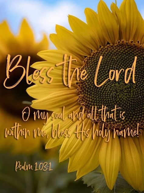 Sunflower Quotes, O My Soul, Praise Him, Good Morning Sunshine Quotes, Bible Quotes Images, Beautiful Bible Verses, Bless The Lord, Bible Study Verses, Biblical Inspiration