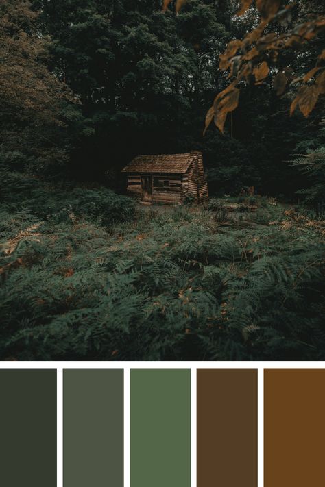 Explore the serene hues of nature with our Earth Tone Color Palette Generator. Discover warm browns, soothing greens, and earthy ochres to bring the tranquility of the outdoors into your designs. Green And Brown Paint Palette, Dark Earth Color Palette, Forest Color Pallette, Pine Forest Color Palette, Nature Tones Colour Palettes, Foggy Color Palette, Mossy Color Palette, Nature Colour Scheme, Mountain Forest Color Palette