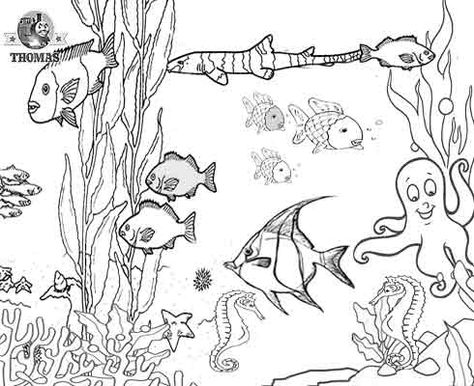 Ocean Habitat, Ocean Coloring Pages, Fish Coloring, Ocean Plants, Dolphin Coloring Pages, Fish Coloring Page, Life Under The Sea, Water Animals, Coloring Sheets For Kids