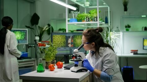 Biologist researcher analyzing biologica... | Free Photo #Freepik #freephoto #food-science #food-technology #biologist #laboratory-microscope Food Engineering, Food Technologist, Health Benefits Of Mushrooms, Mushroom Benefits, Food Innovation, Food Technology, Food Scientist, Bustling City, Petri Dish