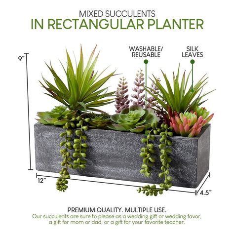 Primrue Succulent in Planter & Reviews | Wayfair Cocktail Hour Bar, Gray Planter, Rectangle Planters, Coffee Table Centerpieces, Rectangular Planters, Stone Planters, Globe Decor, Mini Succulents, Artificial Succulents