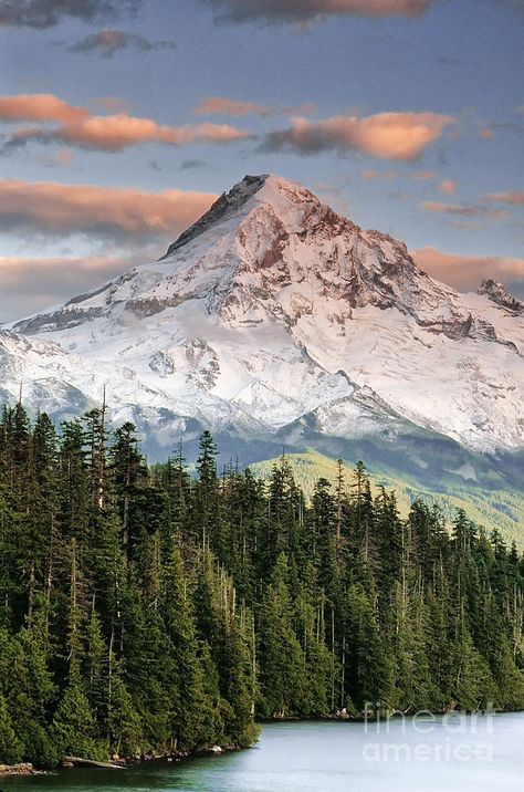 Mt. Hood, Oregon Mount Hood Oregon, Mt Hood Oregon, Beautiful Oregon, Matka Natura, Mount Hood, Mt Hood, Oregon Usa, Foto Inspiration, Mountaineering