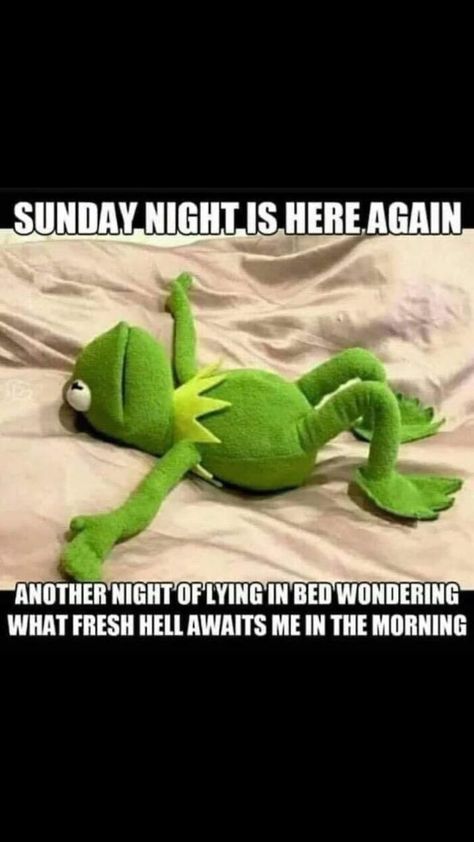 Sunday Night Meme, Funny Uplifting Quotes, Quotes Single, Monday Sucks, Kermit Funny, Funny Day Quotes, Funny Good Morning Quotes, Work Quotes Funny, Humor Quotes