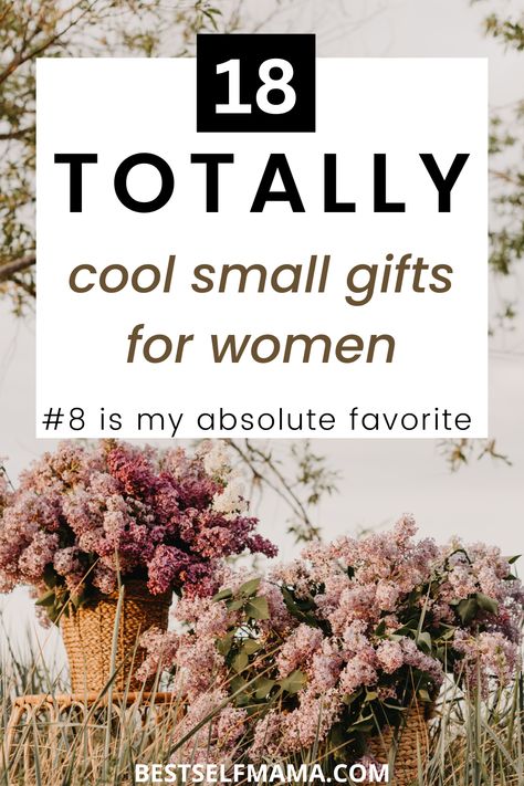 Inexpensive Birthday Gifts, Gifts For Older Women, Small Gifts For Women, 65th Birthday Gifts, Cheap Birthday Gifts, Boss Birthday Gift, Gifts For Young Women, Easy Birthday Gifts, Small Gifts For Friends