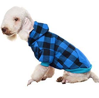 Kat Diy, Clothes Sweaters, Cold Weather Dogs, Dog Winter Clothes, Red Costume, Fall Dog, Boy Dog, Dog Sweatshirt, Puppy Clothes