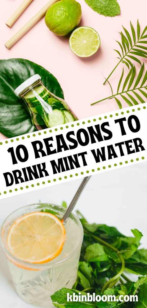 Delicious and refreshing mint water is not only a tasty drink but also packs a powerful punch when it comes to boosting your health. Rich with antioxidants, mint can aid digestion, boost immunity, freshen your breath, and much more! Check out our blog post to explore the top 10 health benefits of mint water, and learn how you can easily add this healthy habit to your daily routine. Mint Water Benefits, Mint Tea Benefits, Mint Leaves Benefits, Mint Benefits, Peppermint Water, Lemon Mint Water, Mint Drink, Cucumber Benefits, Benefits Of Drinking Water