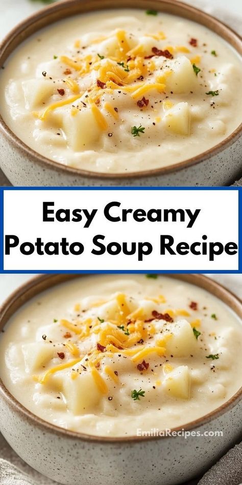 Searching for a family-friendly recipe? This creamy potato soup is the answer, offering rich taste and smooth texture. Enjoy this easy soup recipe for dinner, perfect for all ages and occasions. Easy Creamy Potato Soup Recipe, Easy Creamy Potato Soup, Creamy Potato Soup Recipe, Potato Soup Easy, Creamy Potato Soup, Creamed Potatoes, Easy Soup, Potato Soup Recipe, Creamy Potato