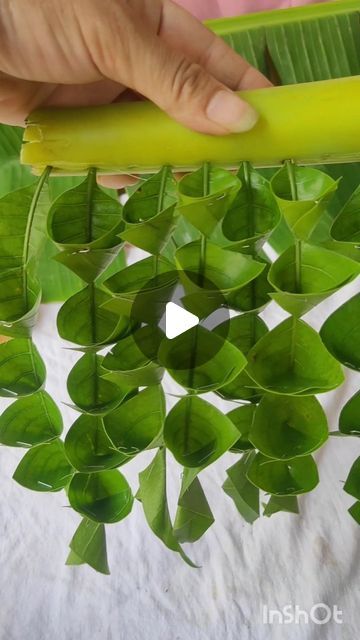 Mango Leaf Decorations, Mango Leaf, Leaf Decoration, Leaf Wall, Best Wall, Wall Decorations, Cool Walls, Mango, Wall Hanging