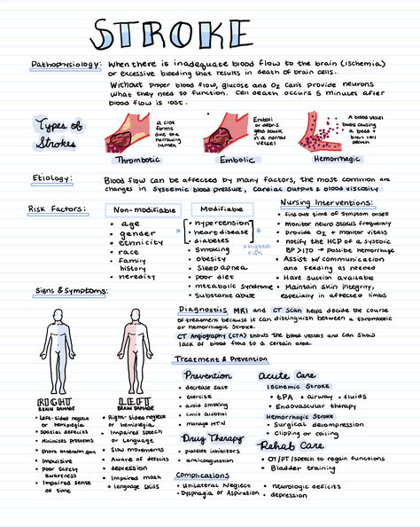 The most important info to study as a nursing student about strokes. Introduction To Nursing Notes, Pathophysiology Nursing Study Guides Respiratory, Studying In Nursing School, Neuro Med Surg Nursing, Emt Study Notes, Nursing Tips Student, Pediatric Nursing Study Notes, Pre Nursing Student Tips, Medical Surgical Nursing Notes