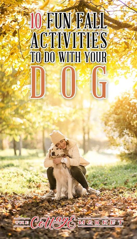 Fall Dog Pictures, Cat Activities, Pet Snacks, Fall Aesthetics, Dog Enrichment, Cottage Market, Fun Fall Activities, Dog Games, Fall Dog