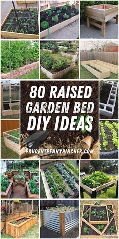 Bed Diy Ideas, Raised Garden Bed Diy, Garden Bed Diy, Easy Garden Beds, Wood Garden Beds, Backyard Raised Garden, Garden Bed Layout, Elevated Garden Beds, Elevated Gardening