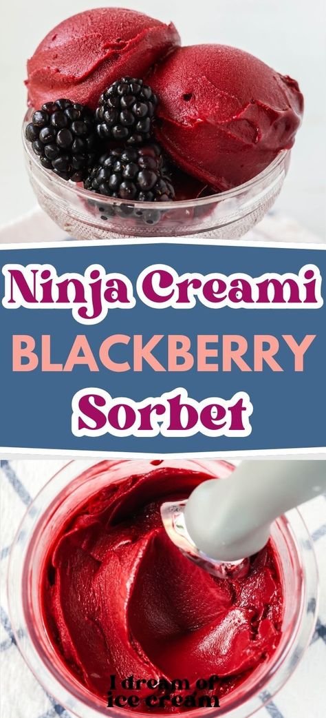 It's super simple to make Ninja Creami blackberry sorbet! The result is sweet and delicious and full of flavor! Blackberry Sorbet Ninja Creami, Ninja Creami Sorbet Recipes Healthy, Blackberry Ninja Creami, Ninja Creami Blackberry Ice Cream, Ninja Creami Blackberry Ice Cream Recipes, Ninja Creami Fruit Sorbet, Ninja Sorbet Recipes, Ninja Creami Recipes Breakfast, Ninja Creami Fruit Recipes