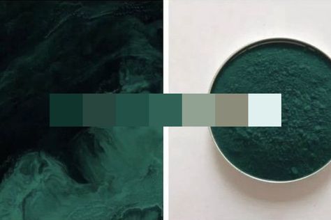 This color palette is inspired by a copper complex - Phthalocyanine Green G, aka Phthalo Green. It comprises seven shades of intense cool green with hints of blue, two sage hues, and one light shade of bluish green, brightening the palette. Phalto Green Color, Phthalo Green Paint, Phthalo Green Room, Phlato Green Color, Phthalo Green Color Palette, Phlato Green Aesthetic, Phtalo Green Bedroom, Dark Shades Of Green, Pthalo Green Color Palette