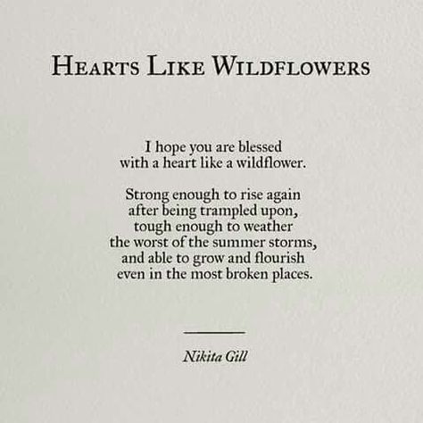 heart like wildflowers poem nikita Gill Flower Thoughts, Wild Flower Quotes, Nikita Gill, Tattoo Girl, Girl Flower, Flower Quotes, Poem Quotes, A Poem, Quotes About Strength