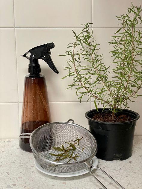 Rosemary Water Aesthetic, Rosemary Oil Aesthetic, Hair Growth Aesthetic, Rosemary Hair Growth Spray, Rosemary Water Hair, Hair Oil Aesthetic, Rosemary Aesthetic, Rosemary Spray, Bathroom Shoot